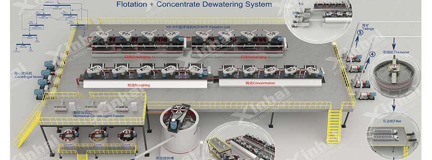 Flotation-and-concentrate-dewatering-system.gif Flotation-and-concentrate-dewatering-system.gif
