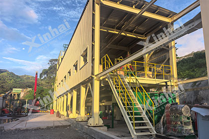 gold-flotation-plant