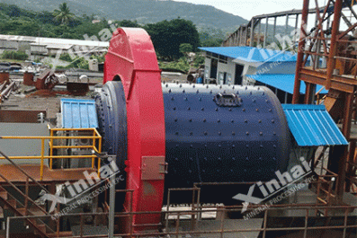 Fiji-2000-tpd-Gold-Mine-Flotation